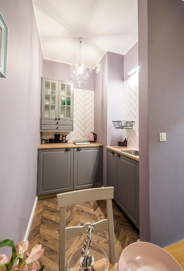 Apartament Z Ogrodkiem I Garazem Poznań Buitenkant foto